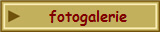 fotogalerie